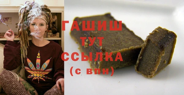 индика Кулебаки