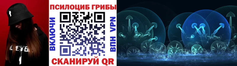 Псилоцибиновые грибы Psilocybine cubensis  Трёхгорный 